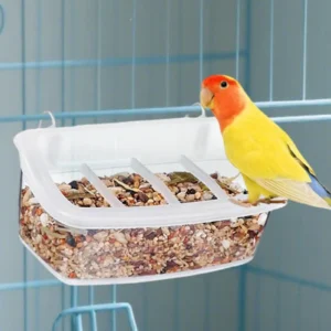 Parrot Feeder for Cage Clear Accessories Washable 360 Degree Visibility Outdoor Easy to Install Bird Food Bowl Feeding Dish