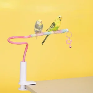 Bird Perch Stand Bird Training Portable Tabletop Platform parrot accessories Indoor Bird Stands for Parakeets Lovebirds Budgies