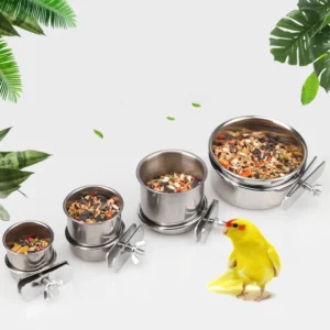 1PC Parrot Feeding Bowl With Clamp Holder Stainless Steel Pet Birds Food Dish Parrots Cage Accessories Drinking Feeder