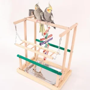 Parrot Playground Perch Play Exercise Toy, Platform Parrots Play Stand Exercise Activity Center for Budgie Conures Cockatiels