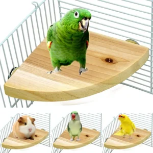 Fan-shaped Bird Parrot Wooden Stand Rack Bird Cage Accessories Perch for Small Animal Chinchilla Squirrel Hamster Stand Board