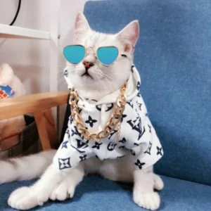 Puppy Glasses Pomeranian Chihuahua Schnauzer Accessories Glasses Summer Dog Sunglasses Dogs Bezel Cat Glasses