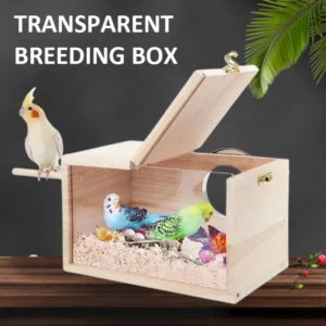 Transparent Design Parakeet Bird House Nest Easy To Cleaning Creative Solid Wood Parrot House Smooth Edges Bird Breeding Box