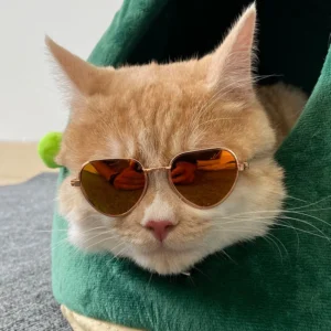 Cat Dog Sunglasses Metal Heart Pet Glasses Accessories Eye-wear Protection Pet Photos Props