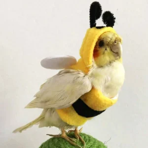 1pc-Bird Clothes Parrot Bee Costume