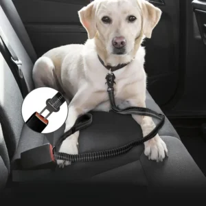 Heavy Duty Tactical Pet Leash Dog Leash for Large Medium Dogs Car Use Fashion Frog Safety Buckle Pet Traction Rope