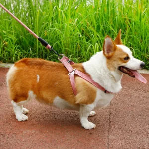Dog Harness Vest Leash Set Adjustable Foam Handle Flax Round Rope Traction Chest Strap Rope Belt Dog Accessories Pet Supplies