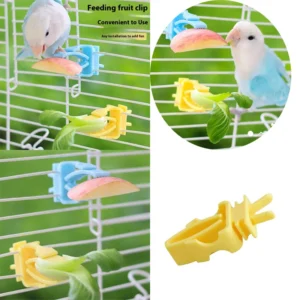 2/4Pcs Pet Bird Food Holder Cuttlefish Bone Feeder Parrot Fruits Vegetables Clip Bracket Device Clamp Bird Cage Accessories