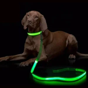 LED Light Up Dog Leash Luminous Rope Lead Leash for Dog