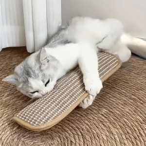 Cat toy pillow, teething and chewing resistance, self-entertainment and boredom relief, cat scratching mat, Cat toys