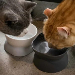 Raised Stand Kitten Products Pet Bowl Cat Water Bowl Cat Feeders Pet Feeder Bowl Pet Feeder Drinker Pet Supplies Cat Food Bowl