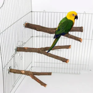 1pcs Birds Accessories Bird Cage Sticks Wooden Stuff Stand Tree Branch Perches