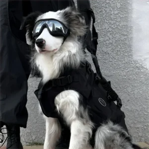 New Dog Goggles UV Protection Windproof Sunglasses Adjustable Pet Eyewear for Outdoor Cycling Beach Anti Glare Safety Glasses