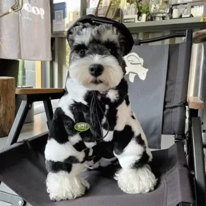 Dog clothes autumn and winter warm schnauzer fah bichon teddy small and medium-sized dogs and cats thickened fur coat