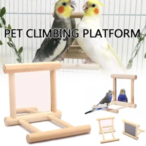 Bird Mirror Toy with Perch Stand for Parrot Budgies Parakeet Cockatiels Conure Finch Lovebird Canary Macaw Toy Accessories