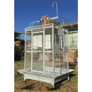 Extra Large Double Ladders Open Play Top Wrought Iron Bird Parrot Parttot Finch Macaw Cockatoo Cage with Seed Guard and Toy Hoo