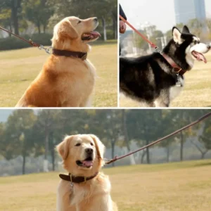 Genuine Leather Dog Leash Dogs Long Leashes Braided Pet Walking Training Leads Brown Black Colors for Medium Large Pet