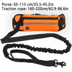Dog Running Waist Leash Nylon Pet Leash