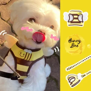 Dog Leash Cute Puppy Chest Strap Dog Walking Leash Home Small Dog Outing Supplies