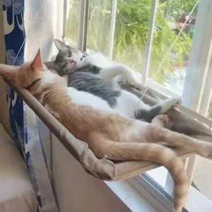Ultra Soft Cat Window Hammock Bed Securely Mounted Space Saving Cat Perch Ideal for Feline Naptime Top Pet Accessories for Cats