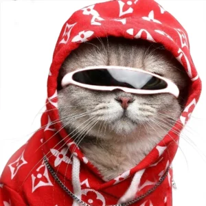 Pet glasses, dog sunglasses, funny photos, personalized creative plastic windproof cat sunglasses