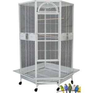 64 Extra Large Corner Bird Flight Breeding Wrought Iron Rolling Parrot Cage with Side Solid Metal Plate Feed Doors Pull Out Rem