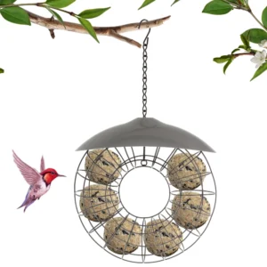 Bird Feeder Hanging Fatball Energy Suet Ball Feeder for Mix Seed Blends Outdoor Field Garden Food Dispenser Idea for Bird Lovers