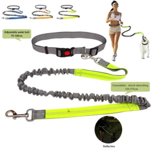 Hands Free Dog Leash for Running Jogging, Adjustable Waistbelt Bungee Elastic Dog Lead, Reflctive Leash for Large Medium Dogs