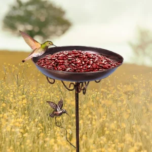 Standing Bird Bath Bowl Bird Feeder Outside Garden