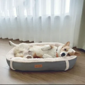 All-Season Suede Oval Pet Bed Waterproof Detachable for Large Pets