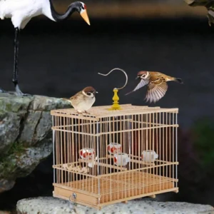 Bird Cage Easy to Install Stand Cage