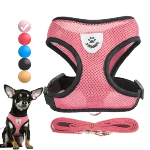 Hot Sell Pet Harness Breathable Mesh Dog Cats Vest Walking Lead Leash Polyester Mesh Harness Pet Traction Rope