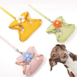 Pet Harness Pet Leash Adjustable Fashion Harness Puppy Dog Cat Harness Pet Supplies