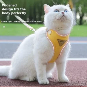 Cat Puppy Outdoor Walking Supplies Fashion Pet Harness and Leash Set for Small Dogs Cats Breathable Durable Kitten Harnesses