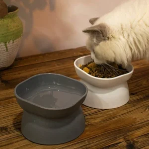 1Pc Pet bowl, water and food feeder, for cat and small dog