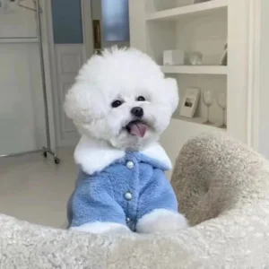 Cat Dog Pet Winter Clothes Plush Coat Schnauzer Bear Cottonteddy Cotton Jacket Puppy Clothes Designer Dog Clothes